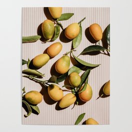 Kumquat Poster