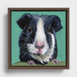 Guinea Pig Framed Canvas