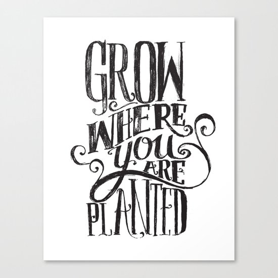 Grow Where You Are Planted Canvas Print
