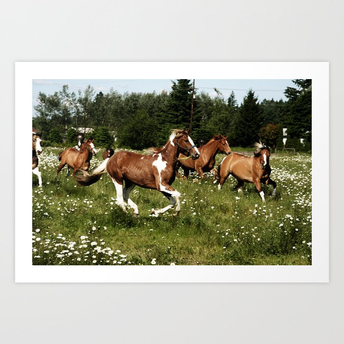 Spring Horse Run Art Print