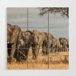 Elephants on Parade Wood Wall Art