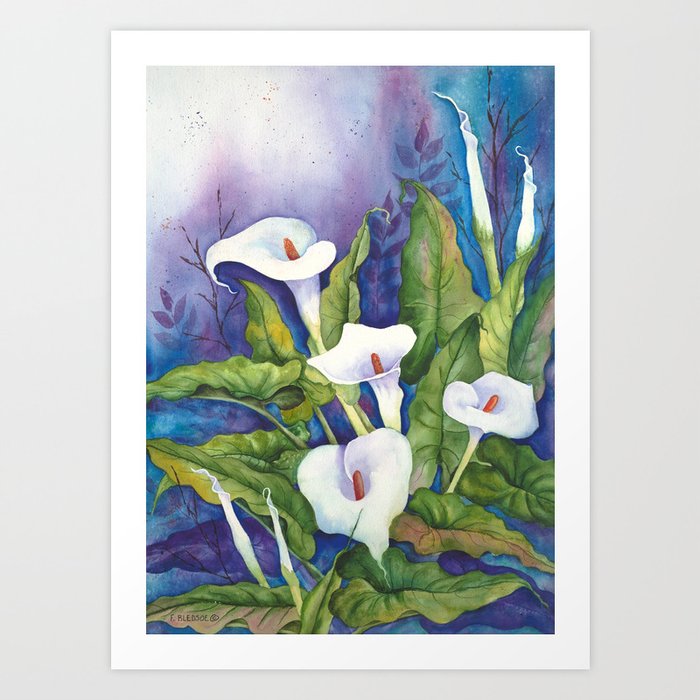 Calla Lillies Art Print