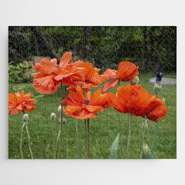 Poppies Jigsaw Puzzle