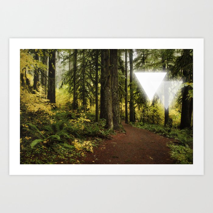 Dual Triangles I — Forest Nature Photograph Art Print