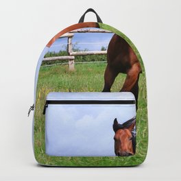 Brown Horse Running On Paddock Sunshine Backpack
