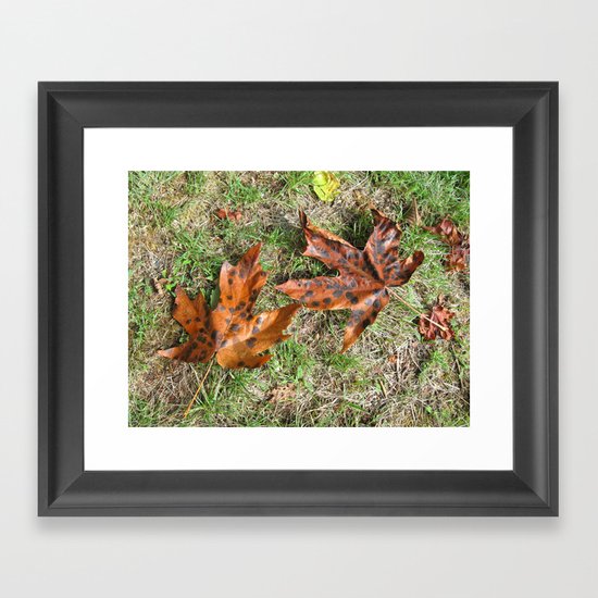 Fall Is Spot On Framed Art Print