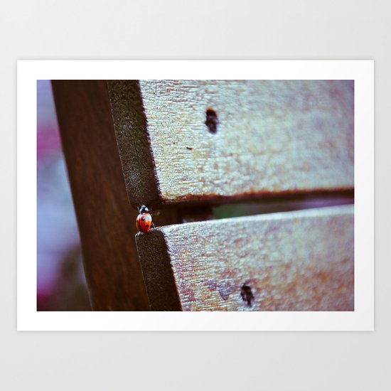 Climbing Art Print