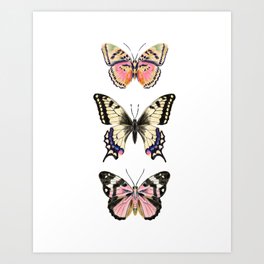 Butterfly Study no. 11 - butterfly art, butterfly sticker, swallowtail butterfly Art Print
