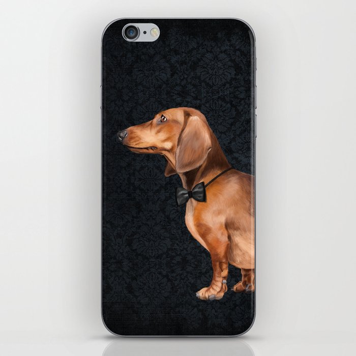 Elegant dachshund. iPhone Skin