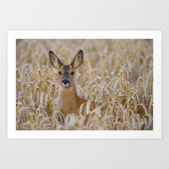 ROE DEER IN WHEAT Art Print