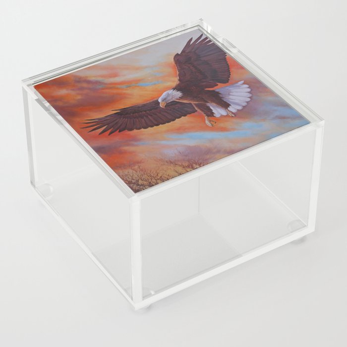 Bald Eagle with sundown background Acrylic Box