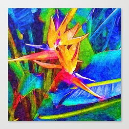 Bird of paradise flowers Colorful Painting Canvas Print