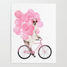 Riding Llama with Pink Balloons #1 Poster