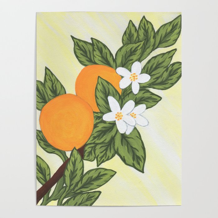 Flowering Orange Tree Poster