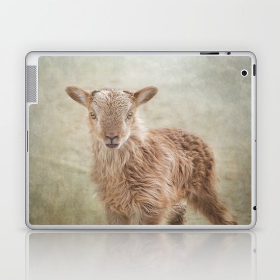 Baby Soay Sheep Laptop & iPad Skin