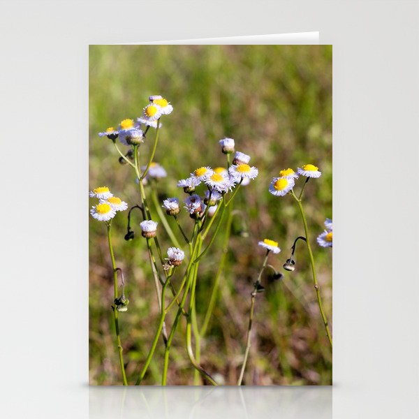 Meadow Stationery Cards