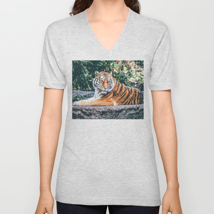 Majestic Tiger Sitting On A Rock Photography V Neck T Shirt