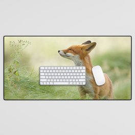fox in forest Desk Mat