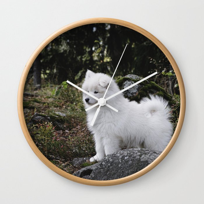 Samoyed themed shop gifts