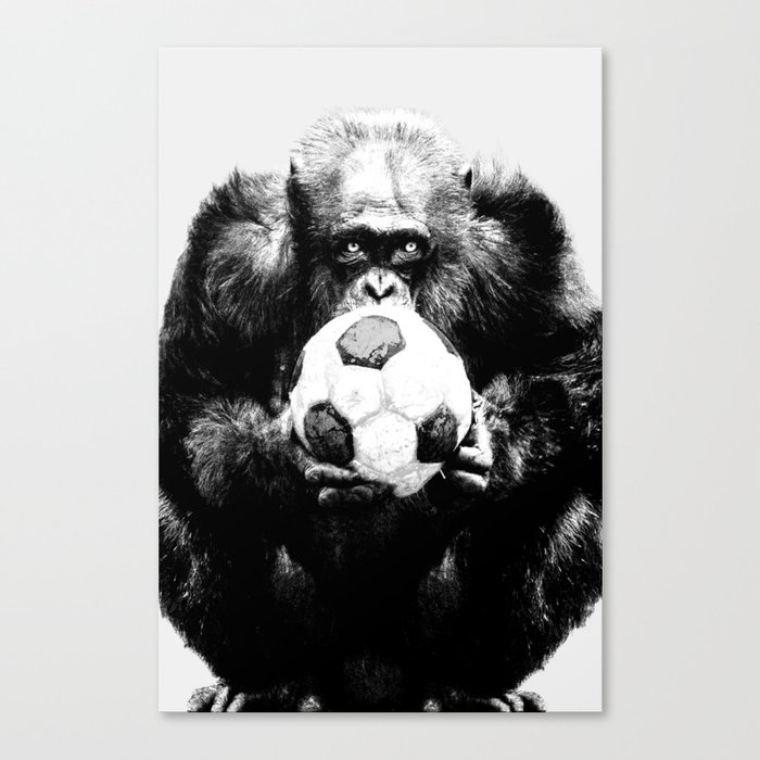 Soccer Chimp Canvas Print