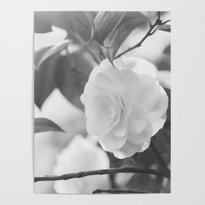 Once in a While Black and White Flower Poster by In This Instance
