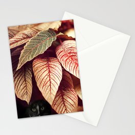 Tis the Season Stationery Cards