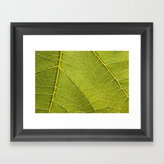 Fig Leaf Framed Art Print