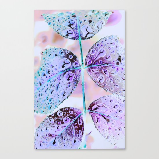 #51 Canvas Print