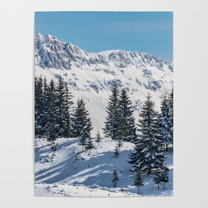 Winter landscape with snow-covered fir trees Poster