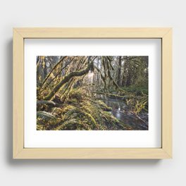 Sunrise in the Mystic Woods of a Rainforest Recessed Framed Print