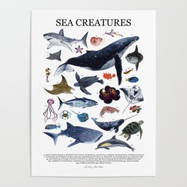 SEA CREATURES poster with names Poster