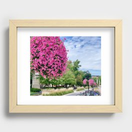 Taryn's photography Recessed Framed Print
