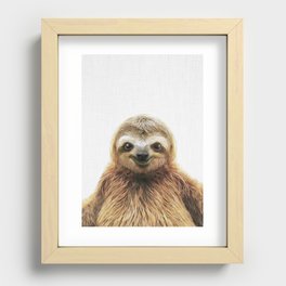 Young Sloth Recessed Framed Print