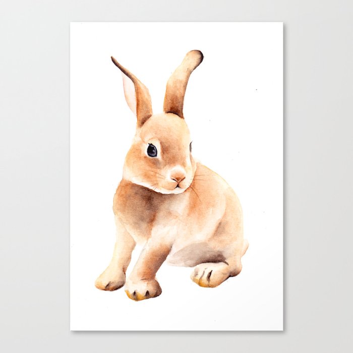 Cute bunny 4 Canvas Print