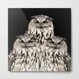Three Wise Owls on Black Background #decor #society6 #buyart Metal Print | Black, Symbol, Owls, Greetings, Bird, Owl, Beauty, Birds, Wise, Nature 