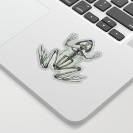 Frog Skeleton: Animal Anatomy Sticker