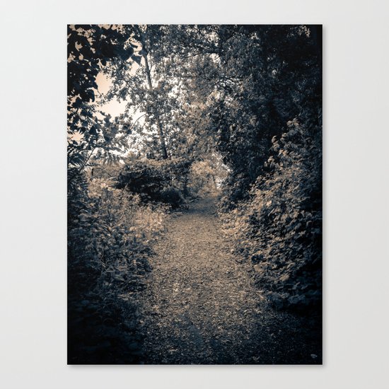 A Path Canvas Print