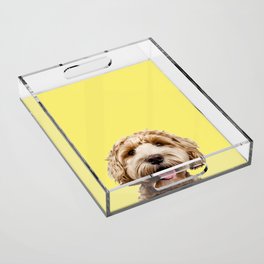 Happy Goldendoodle on Yellow Background Acrylic Tray