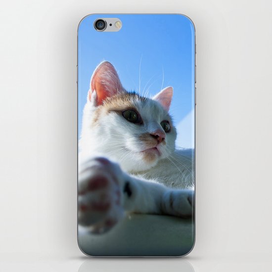Cat iPhone & iPod Skin