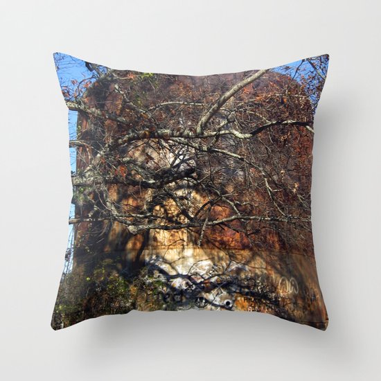 Rusted and Forgotten Throw Pillow
