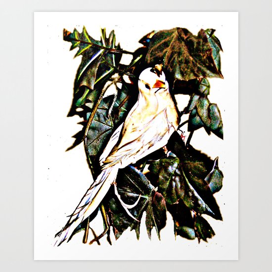 Bird watching Art Print