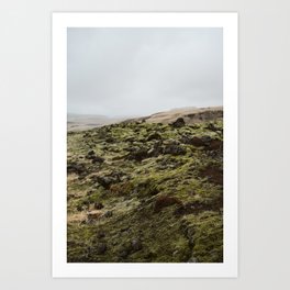 Icelandic Moss I Art Print
