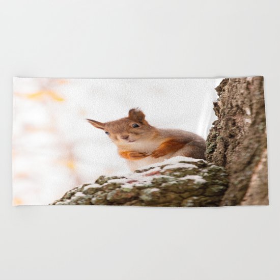 Squirrel in first snow Beach Towel