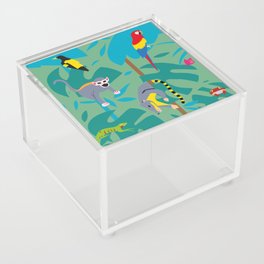 Rainforest Acrylic Box