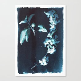Apple Blossom Collage Canvas Print