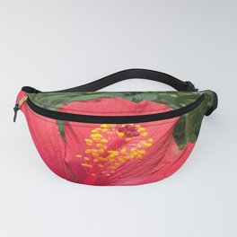COURAGE Fanny Pack