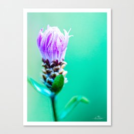 Floral Photography "THRIVE" Canvas Print