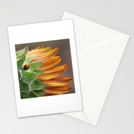 Ladybug on Sunflower Stationery Cards