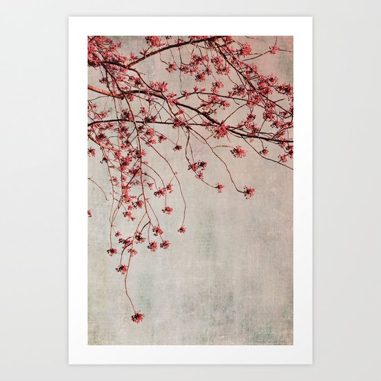 spring branches Art Print