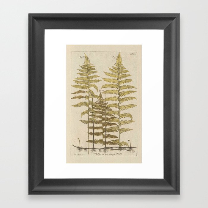 Vintage Fern Botanical Framed Art Print